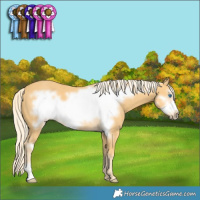Horse Color:Palomino Frame 