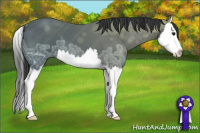 Horse Color:Black Ice Splash 