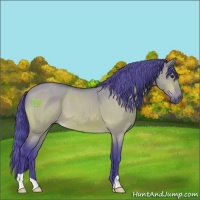 Horse Color:Watercolor Brown Roan Dun 