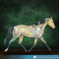 Horse Color:Watercolor White Spotted Buckskin Dun 