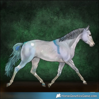 Horse Color:Watercolor White Spotted Liver Red Dun