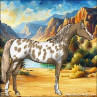 Horse Color:Chocolate Palomino Dun Sabino Appaloosa 