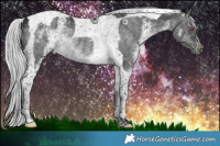 Horse Color:Gray White Spotted Silver Black Chinchilla Tobiano 