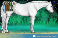 Horse Color:Gray White Spotted Chestnut Chinchilla Tobiano 