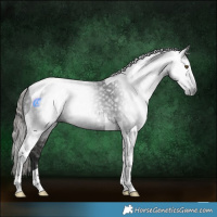 Horse Color:Gray Liver Chestnut Tobiano 