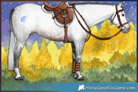 Horse Color:Gray White Spotted Liver Chestnut 