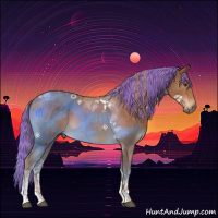 Horse Color:Painted Chestnut Tobiano Rabicano 