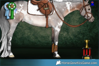 Horse Color:White Spotted Brown 
