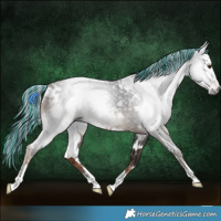 Horse Color:Gray Painted White Spotted Liver Chestnut