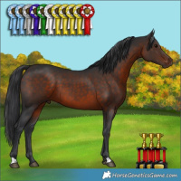 Horse Color:Brown 