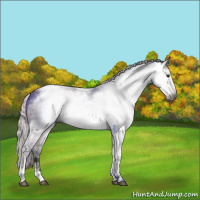 Horse Color:Gray Silver Brown Tobiano Frame 