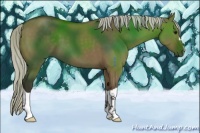 Horse Color:Silver Smoky Grullo 