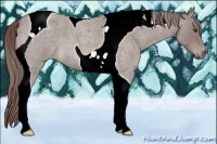 Horse Color:Platinum Red Roan Tobiano 