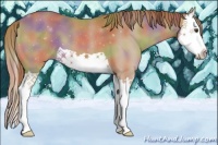 Horse Color:Nacre Chestnut Splash 