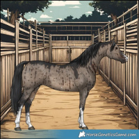 Horse Color:Brown Dun Sabino Rabicano Brindle 