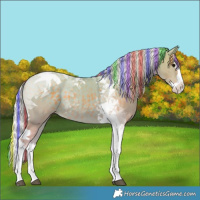 Horse Color:Painted Watercolor Silver Black Splash Tobiano