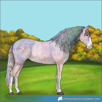 Horse Color:Nacre Watercolor Chestnut Ice Splash 