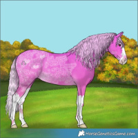 Horse Color:Watercolor Palomino Ice Splash 