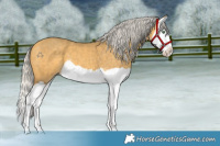 Horse Color:Silver Amber Cream Champagne Splash 