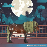 Horse Color:Painted White Spotted Brown 