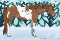 Horse Color:Chestnut Tobiano