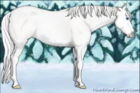 Horse Color:Silver Smoky Creme Dun Splash