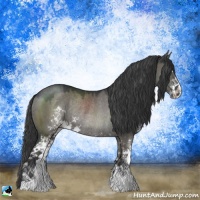 Horse Color:Grullo Sabino Rabicano 