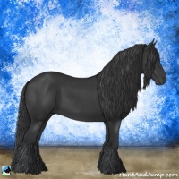 Horse Color:Black Mushroom 