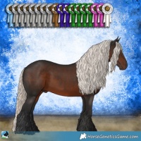 Horse Color:Liver Chestnut Mushroom 