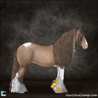 Horse Color:Black Pearl Sabino Tobiano Rabicano 