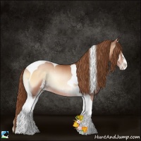Horse Color:Bay Pearl Onyx Sabino Tobiano Rabicano