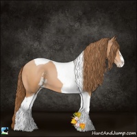 Horse Color:Bay Pearl Sabino Tobiano 