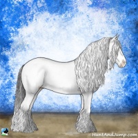 Horse Color:Brown Sabino Splash 