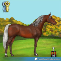 Horse Color:Silver Brown 