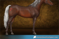 Horse Color:Silver Brown 