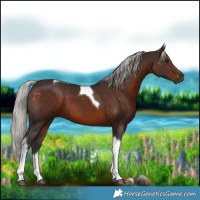 Horse Color:Silver Brown Tobiano