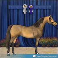 Horse Color:Buckskin 