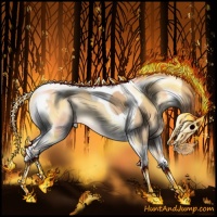 Horse Color:Gold Champagne Onyx Tobiano Rabicano