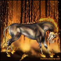 Horse Color:Brown Onyx Rabicano