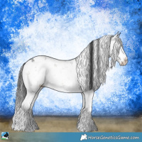 Horse Color:Blue Onyx Mushroom Sabino Rabicano 