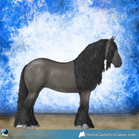 Horse Color:Grullo Mushroom Rabicano Brindle 