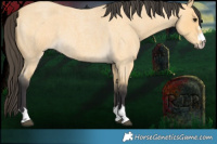 Horse Color:Buckskin Roan 