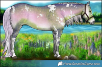 Horse Color:Watercolor White Spotted Chocolate Palomino Onyx 