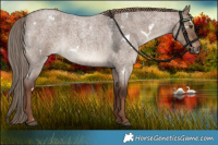 Horse Color:White Spotted Liver Red Dun Roan