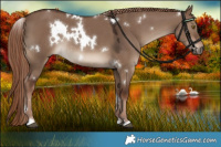 Horse Color:White Spotted Liver Red Dun Rabicano 