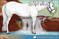 Horse Color:Silver Brown Near Leopard 