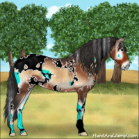 Horse Color:White Spotted Bay Onyx 