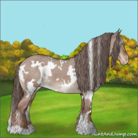 Horse Color:White Spotted Liver Red Dun Varnish 
