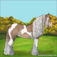 Horse Color:Liver Red Dun Tobiano 