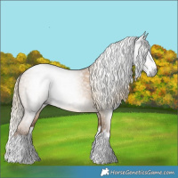 Horse Color:Gray Chocolate Palomino Roan Dun Splash 